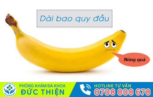 Hình ảnh dài bao quy đầu