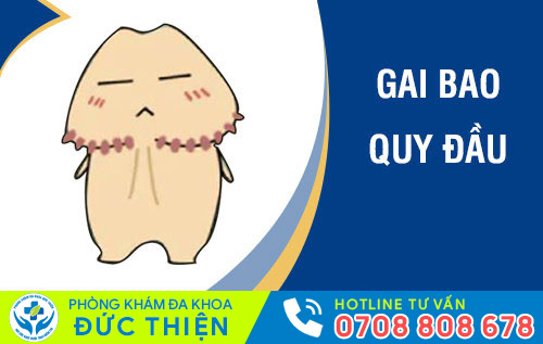 Gai bao quy đầu