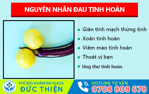 Đau tinh hoàn - dấu hiệu nhiều bệnh nguy hiểm