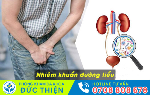 80% trường hợp nhiễm khuẩn tiểu do vi khuẩn E.Coli