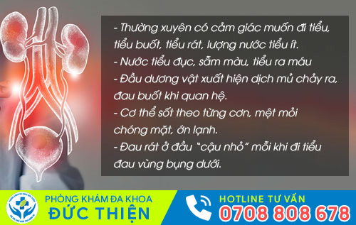 Triệu chứng viêm đường tiểu