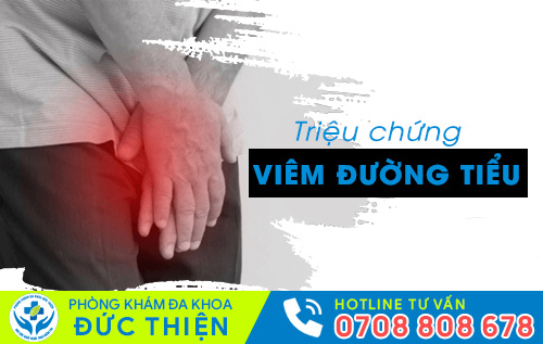Các triệu chứng viêm đường tiểu