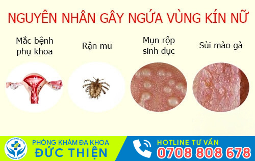 Các nguyên nhân gây ngứa vùng kín nữ