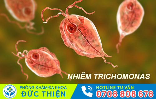 trùng roi trichomonas