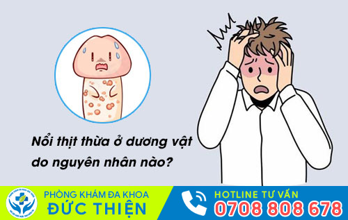 Nổi thịt thừa ở dương vật