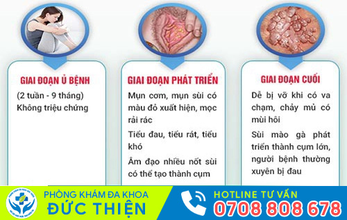 Hình ảnh ung thư cổ tử cung do sùi mào gà gây nên